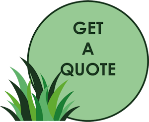Quote